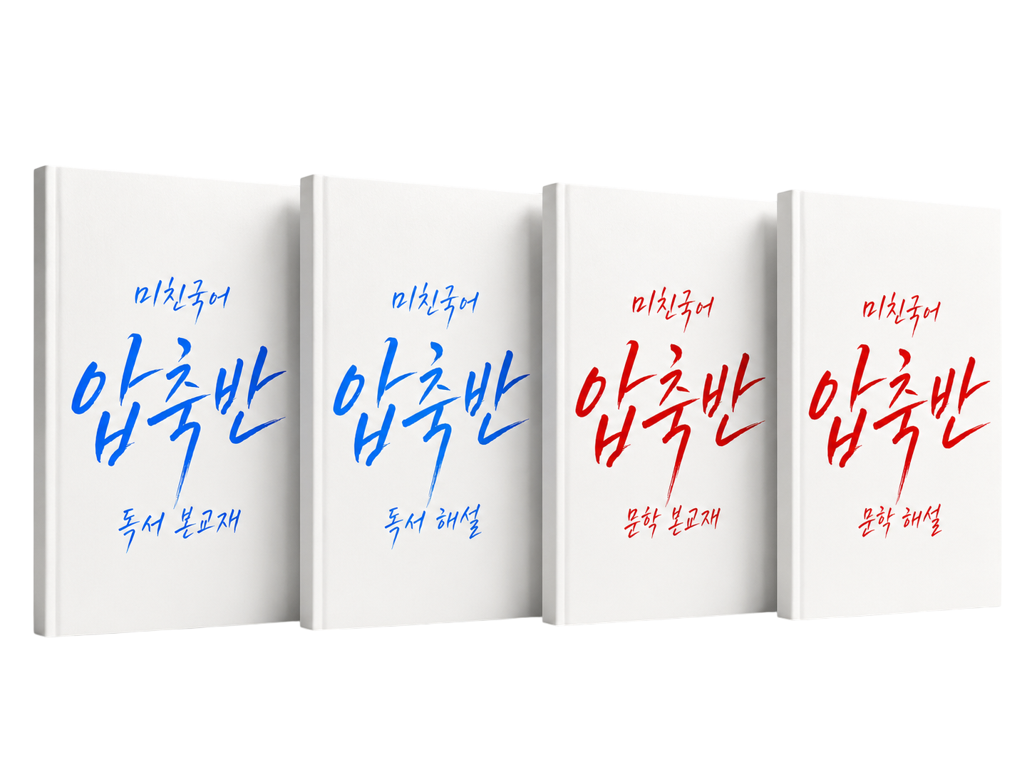 미친국어 압축반 교재 4권