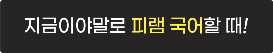 지금이야말로 피램 국어할 때!